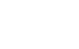 Logo di Vali Autotrasporti versione bianca